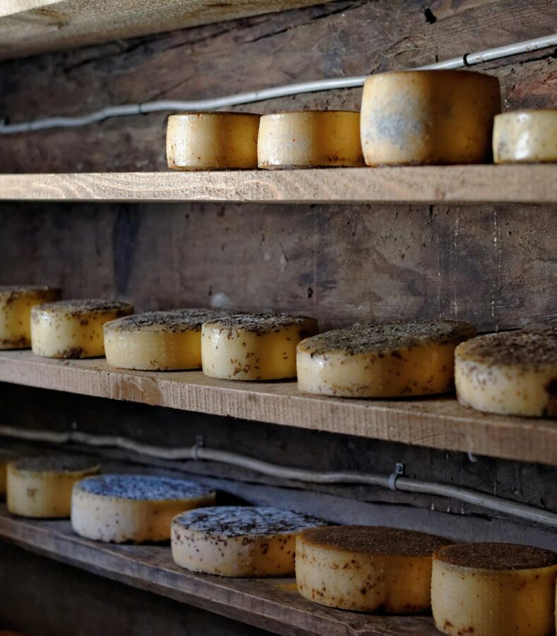 a wall of cheese on display